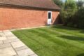 Lawn Turfing